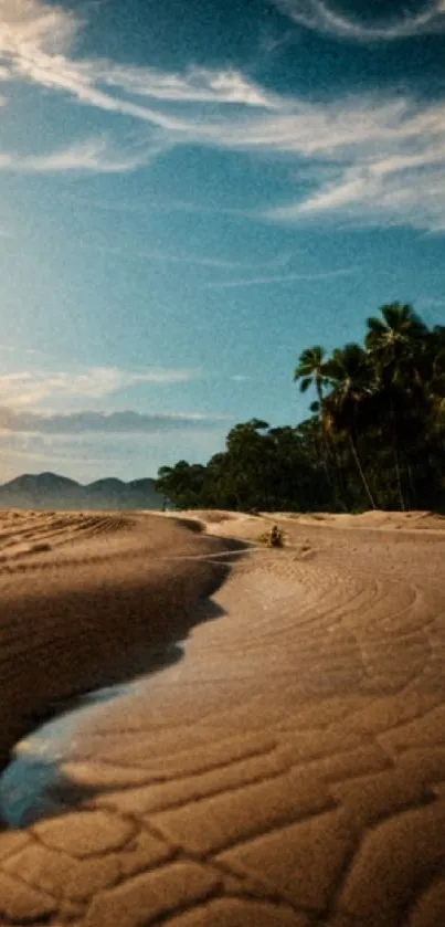 Tropical beach with palm trees at sunset, serene sands and blue sky.