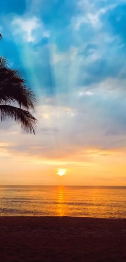 Tropical sunset over beach with palm trees.