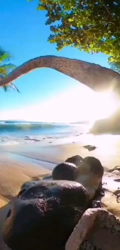 Tropical beach sunrise with a palm tree and ocean view.