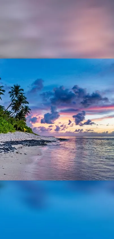 Serene tropical beach sunset with palm trees and ocean waves.