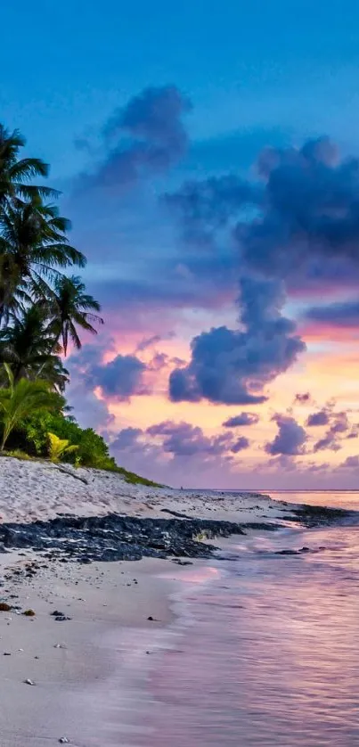 Tropical beach at sunset with palm trees and vibrant sky colors.