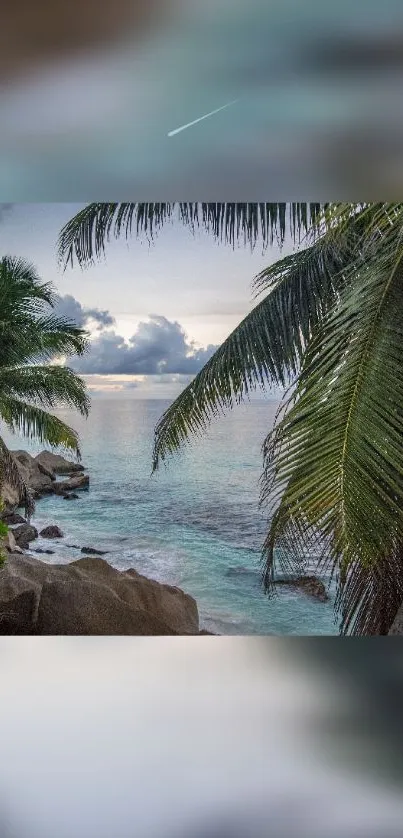 Tropical beach at sunset with palm trees and calm ocean waves.