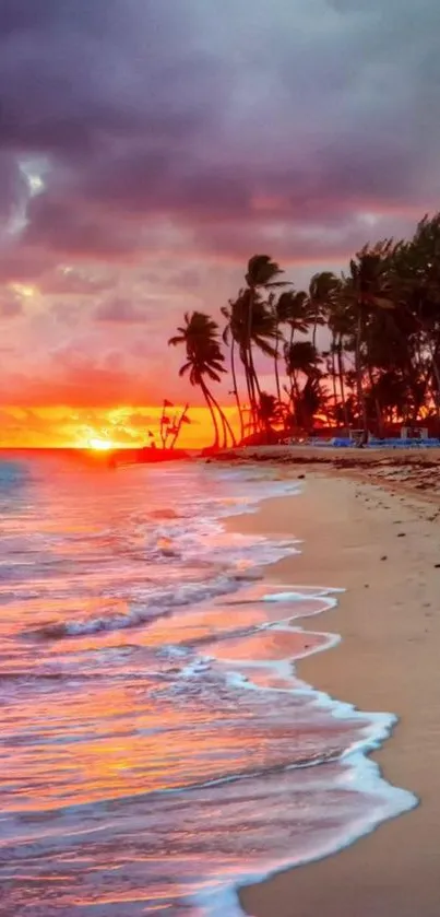 Vibrant tropical beach sunset with palm trees and ocean waves.