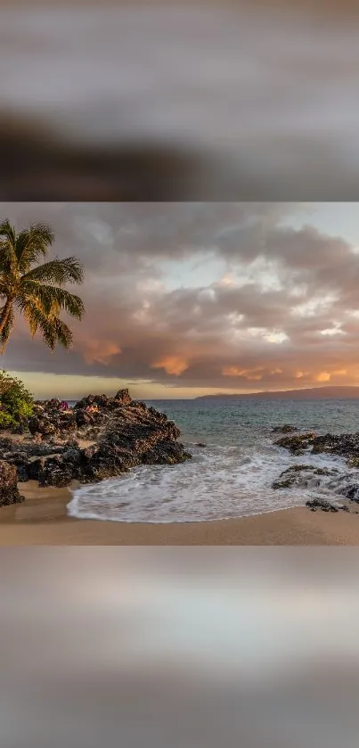 A stunning tropical beach during sunset with palm trees and ocean waves.