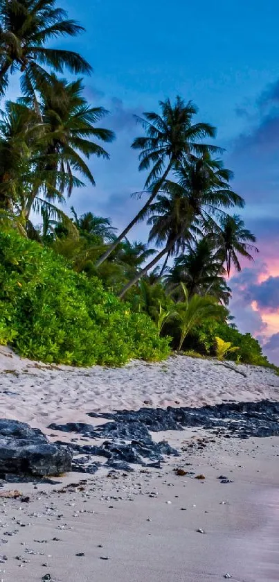 Tropical beach at sunset with palms and colorful sky.