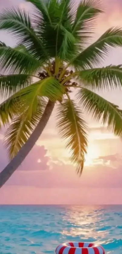 Palm tree at beach during sunset with pink sky and ocean.