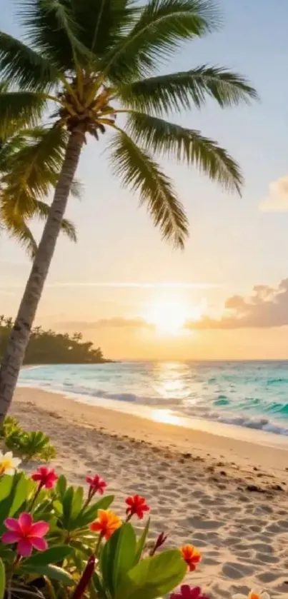 Tropical beach with palm trees and sunset.