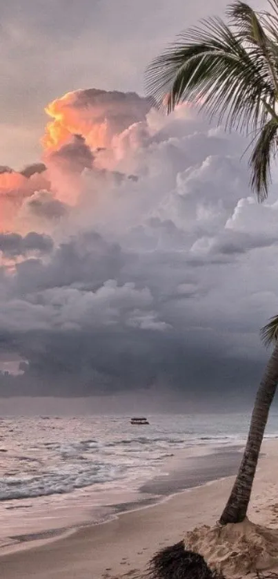 Serene tropical beach sunset with palm trees and colorful sky.