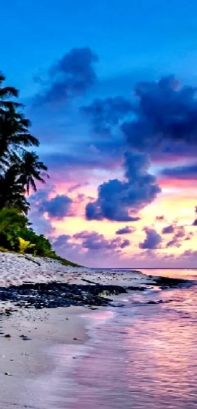 Tropical beach sunset with palm trees and ocean waves.