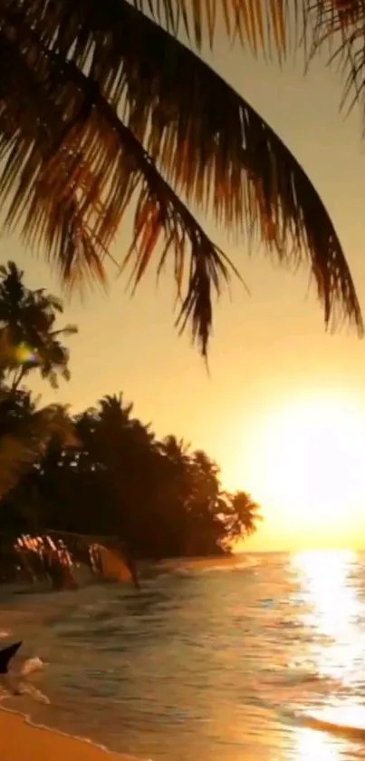 Tropical beach at sunset with palm trees and ocean waves.