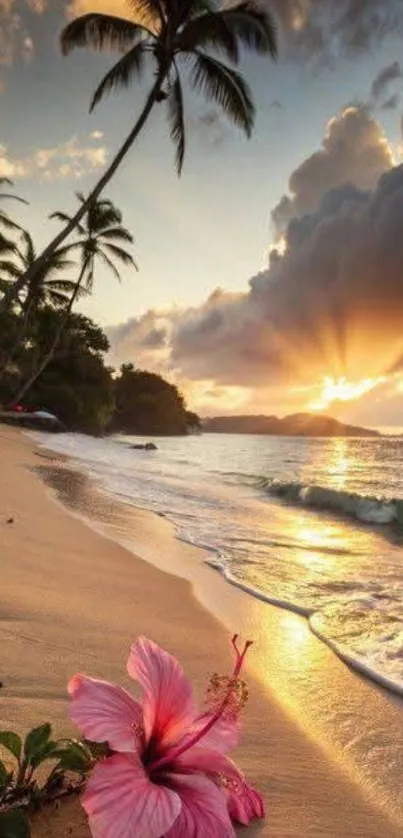 Tropical beach with palm trees at sunset haloed by clouds.