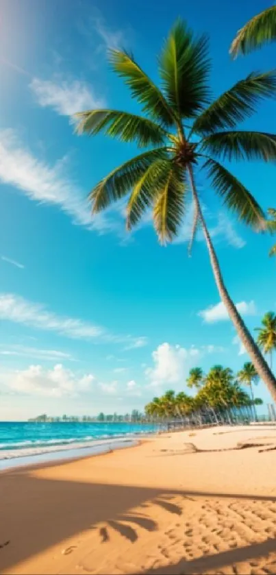 Tropical beach with palm trees and ocean under a blue sky at sunset.