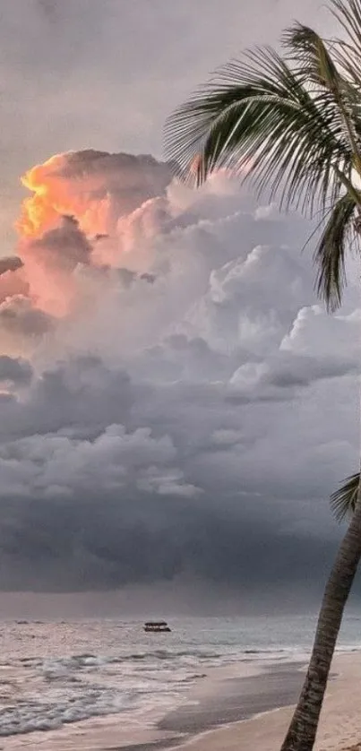 Tropical beach at sunset with palm tree and vibrant clouds.