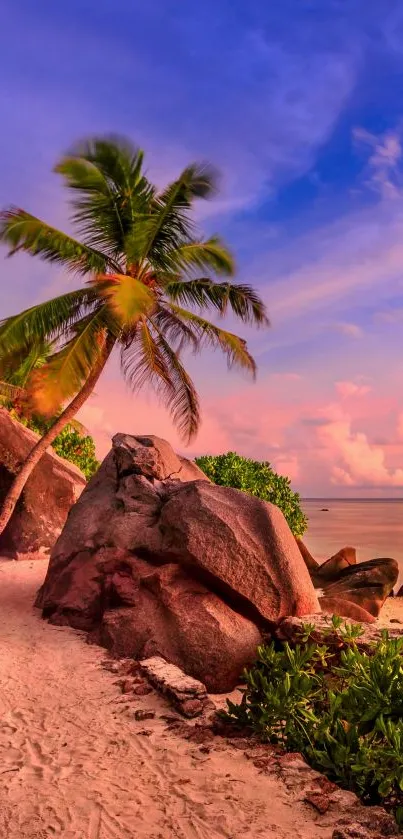 Beautiful tropical beach at sunset with palm trees and rocky shore.