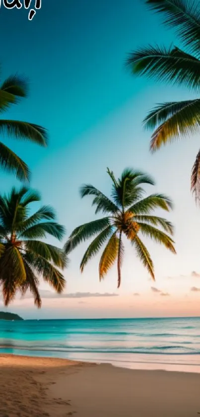 Tropical sunset at beach with palm trees.