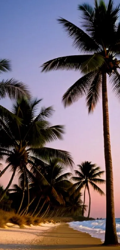 Tropical beach at sunset with palms and ocean waves.