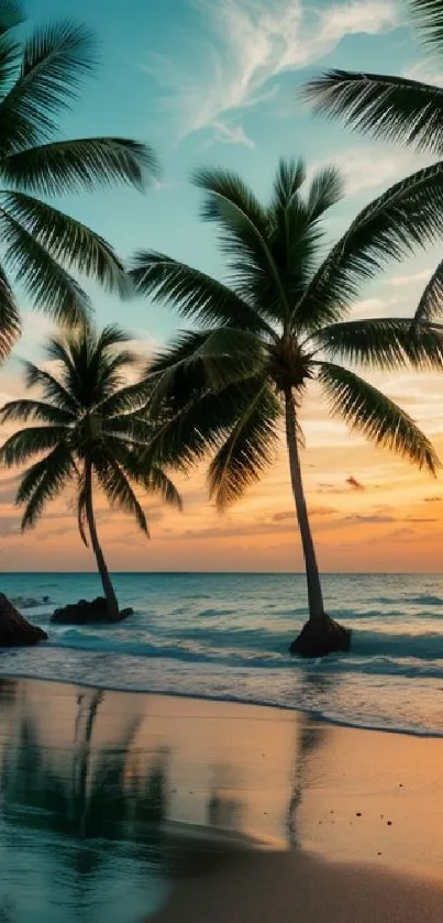 Tropical beach at sunset with palm trees and ocean reflections.