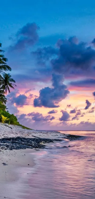 Tropical beach at sunset with vibrant skies, ocean waves, and lush palm trees.
