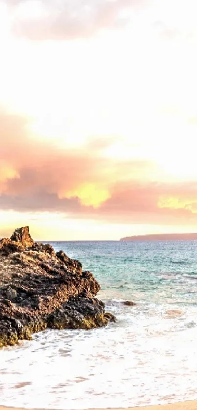 Tropical beach with palm trees at sunset and ocean waves.