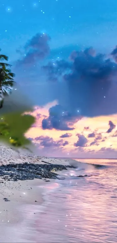 Tropical beach at sunset with palm trees and starry sky.