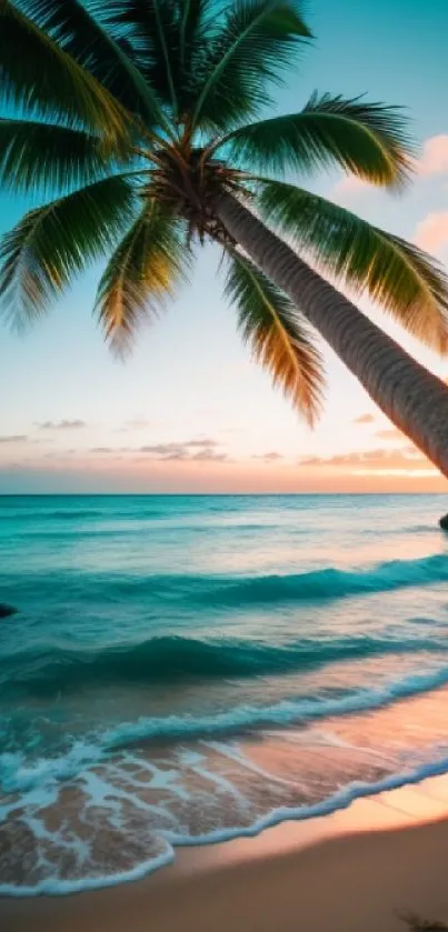 Tropical beach sunset with palm trees and turquoise ocean waves.