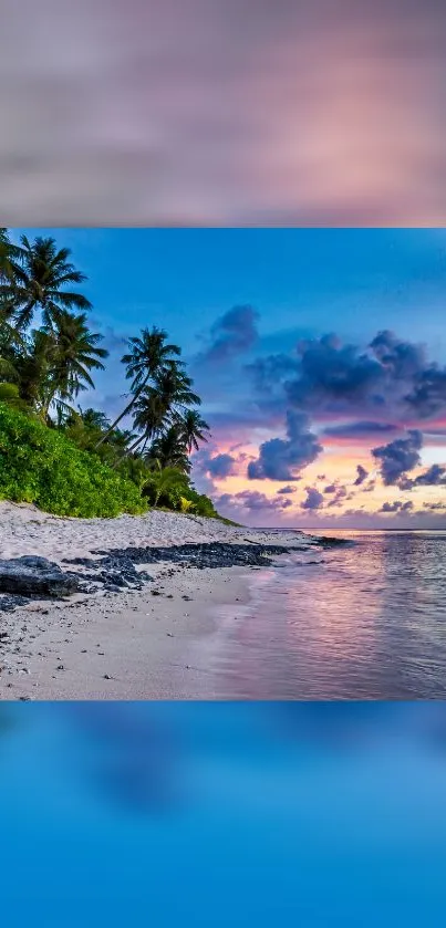 Scenic mobile wallpaper of a tropical beach during sunset with palm trees and ocean view.