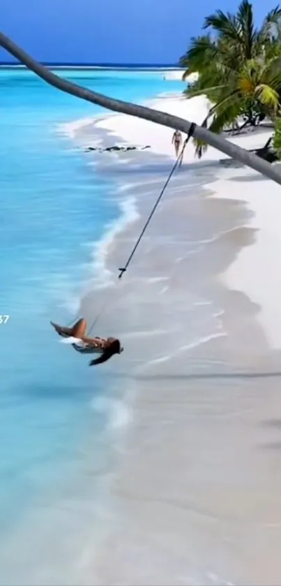 Tropical beach with swing over turquoise water and palm-lined shore.