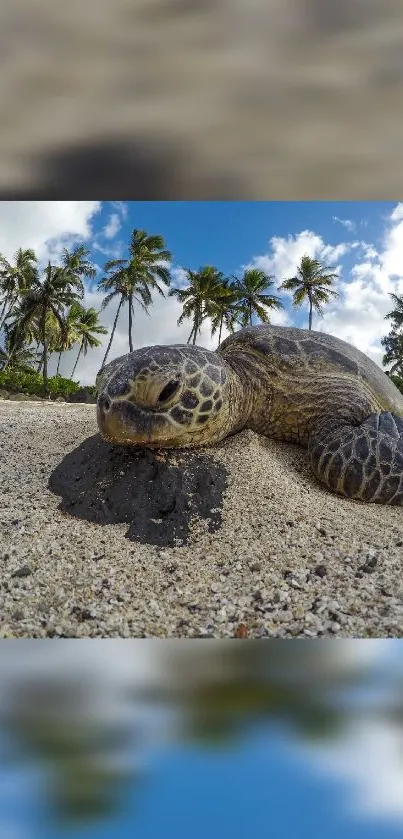 Turtle resting on a tropical beach with palm trees and bright blue sky.