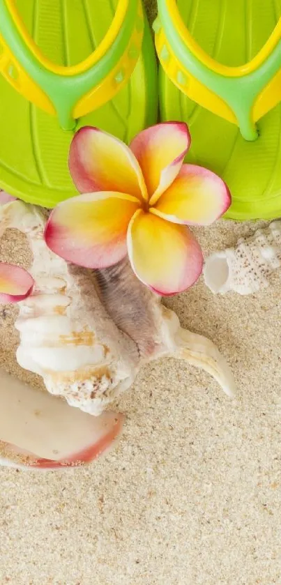 Tropical beach wallpaper with sandals and seashells on sand.