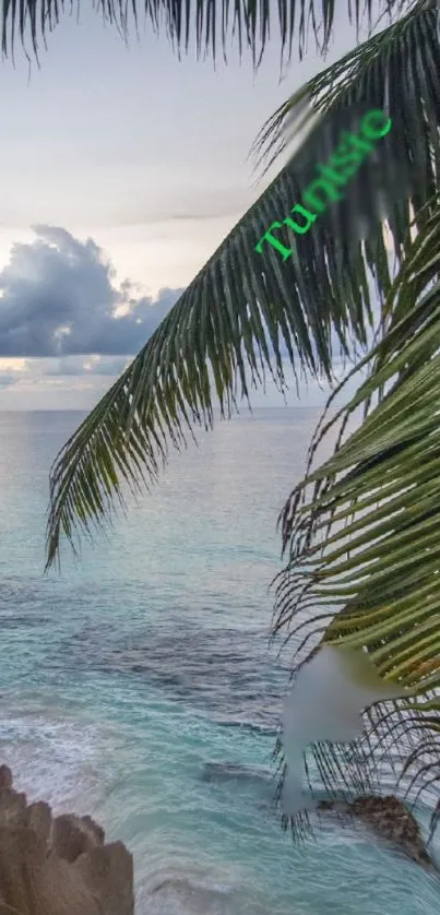 Tropical beach with palm fronds and a serene ocean view at sunrise.