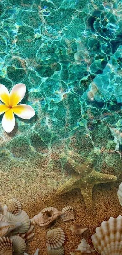 Tropical beach wallpaper with shells, starfish, and a plumeria flower on azure waters.