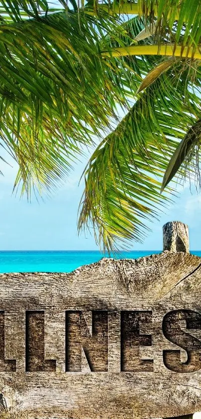 Tropical beach scene with a wellness sign under palm tree shade.