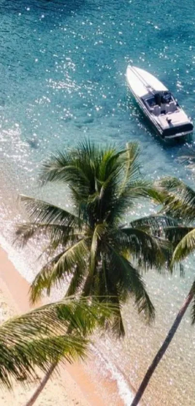 Tropical beach with palm trees and boat over turquoise water.