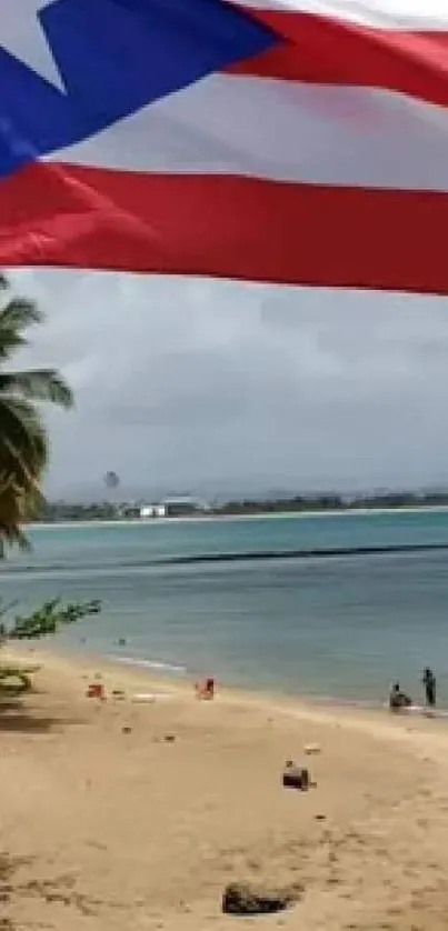 Tropical beach with a vibrant flag waving, palm trees, and clear blue waters.