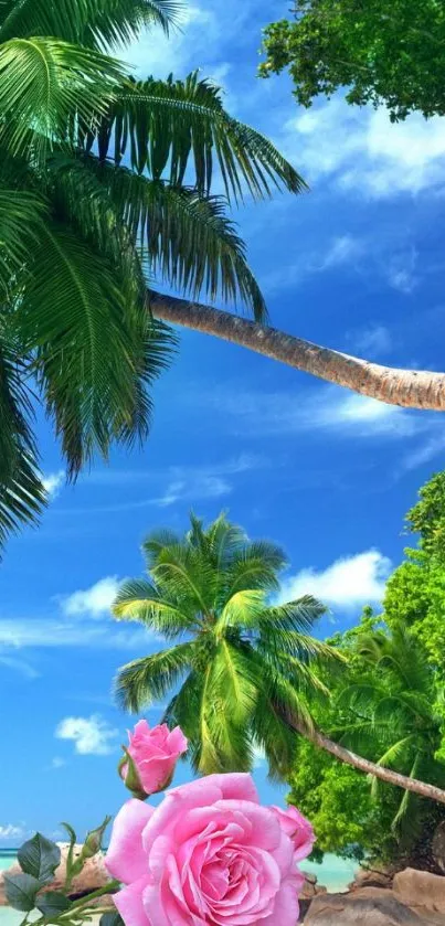 Tropical beach wallpaper with palm trees and pink rose.