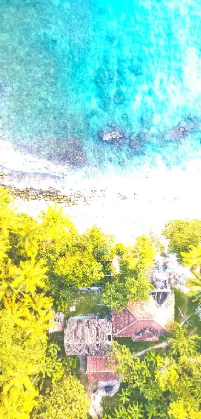 Aerial view of a tropical beach with trees and blue ocean waves.