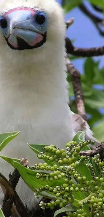 A vibrant tropical bird perched among lush green leaves.