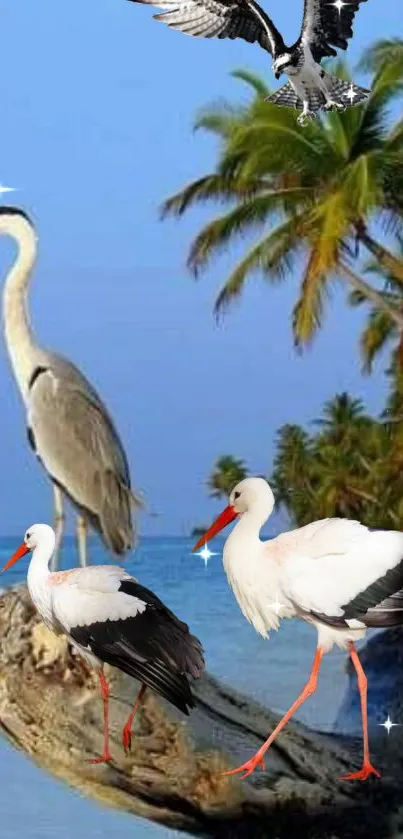 Tropical beach with birds and palm trees in serene scenery.