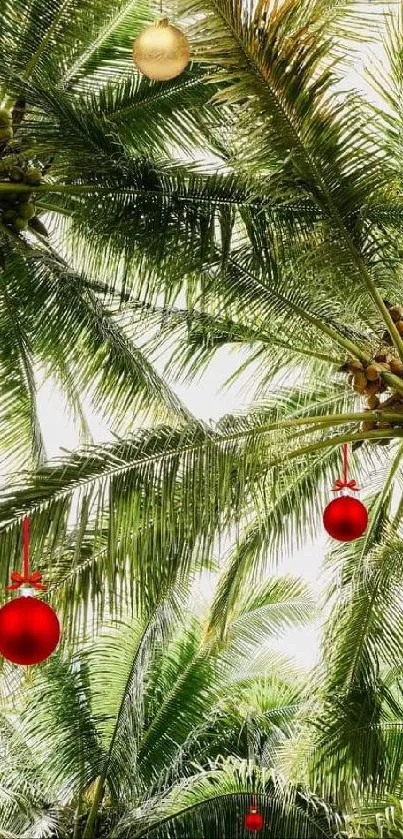 Tropical Christmas-themed wallpaper with palm trees.