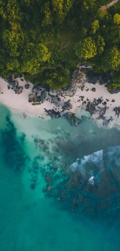 Aerial view of tropical coastline with turquoise water and lush forest.