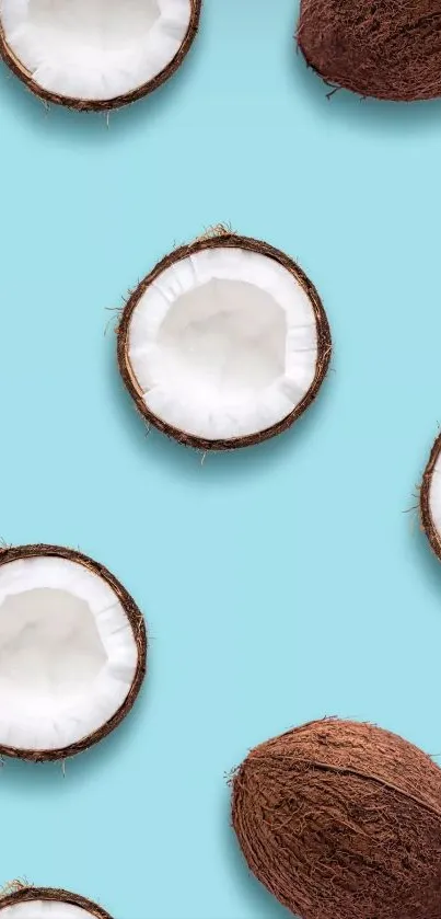 Mobile wallpaper with coconuts on pastel blue background.