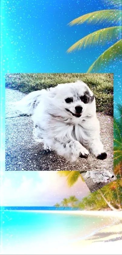 Tropical dog beach wallpaper with palm trees and clear sky.