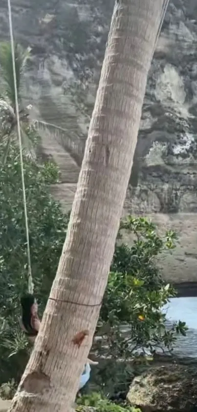 Palm tree swing with a rocky beach backdrop.