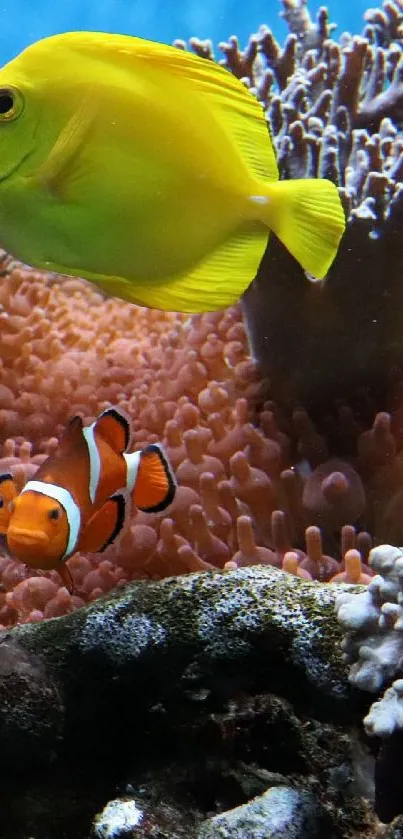 Vibrant underwater scene with tropical fish and coral reef.