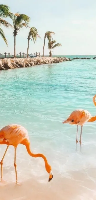 Tropical beach with flamingos and turquoise water.