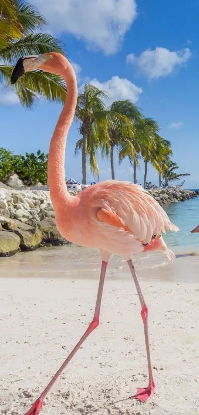 Vibrant flamingo on tropical beach with palm trees and ocean.