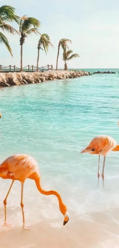 Flamingos in a tropical beach setting with palm trees and teal ocean.