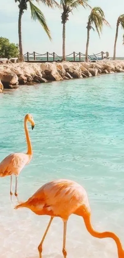 Tropical beach with flamingos and palm trees under a clear sky.