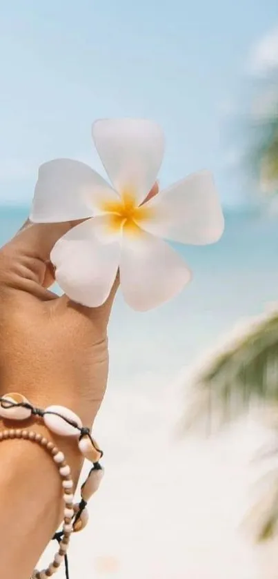 Hand holds a white tropical flower against a sunlit beach backdrop.