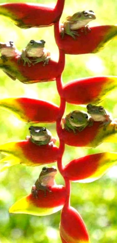 Frogs perched on colorful tropical leaves.